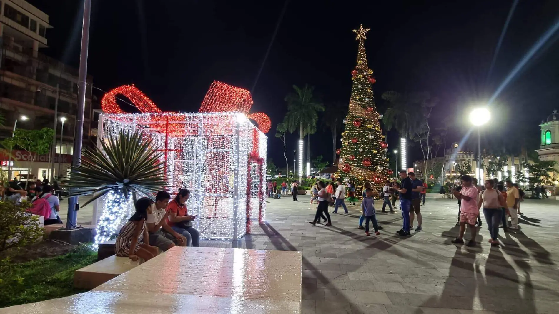 parque central adornado